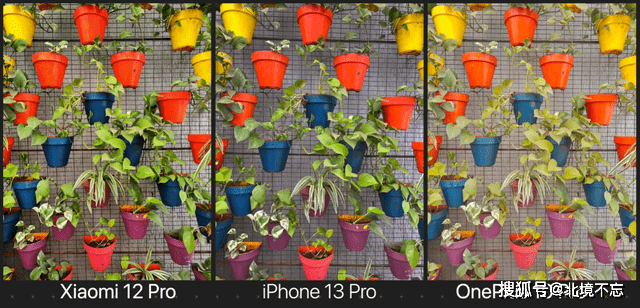 小米12Pro、iPhone13Pro、一加10Pro影像比拼<strong></p>
<p>火币pro官网</strong>，国产手机还需努力