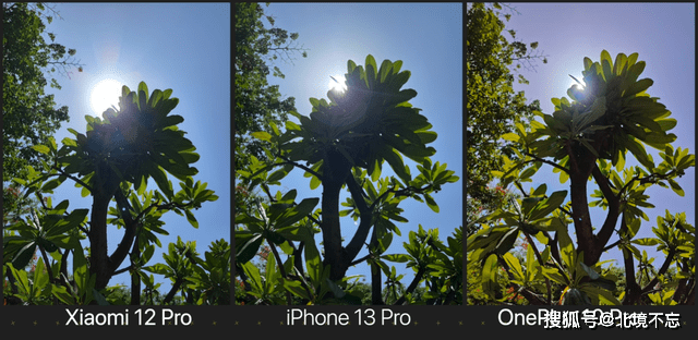 小米12Pro、iPhone13Pro、一加10Pro影像比拼<strong></p>
<p>火币pro官网</strong>，国产手机还需努力