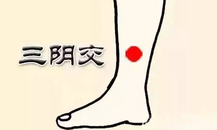 每天揉一揉这里<strong></p>
<p>揉鸟币</strong>，慢性病都赶跑！