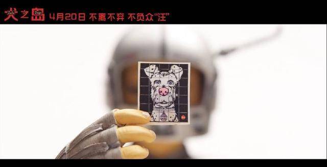 韦斯新作豆瓣8.6分<strong></p>
<p>狗年币</strong>，狗年最期待狗片！