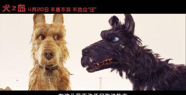 韦斯新作豆瓣8.6分<strong></p>
<p>狗年币</strong>，狗年最期待狗片！