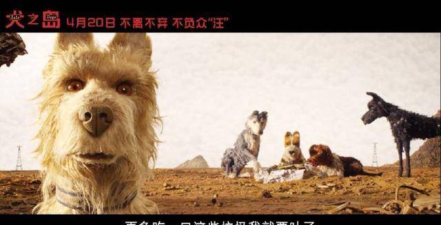 韦斯新作豆瓣8.6分<strong></p>
<p>狗年币</strong>，狗年最期待狗片！
