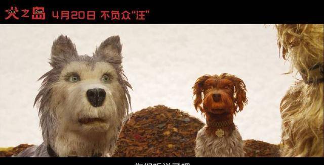 韦斯新作豆瓣8.6分<strong></p>
<p>狗年币</strong>，狗年最期待狗片！
