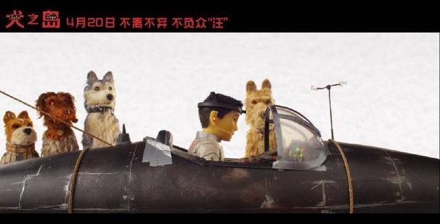 韦斯新作豆瓣8.6分<strong></p>
<p>狗年币</strong>，狗年最期待狗片！