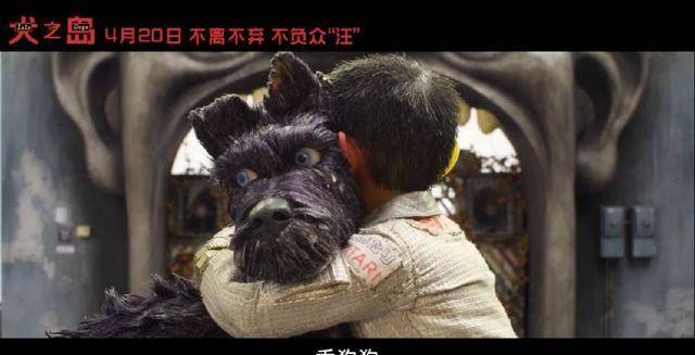 韦斯新作豆瓣8.6分<strong></p>
<p>狗年币</strong>，狗年最期待狗片！