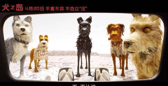 韦斯新作豆瓣8.6分<strong></p>
<p>狗年币</strong>，狗年最期待狗片！