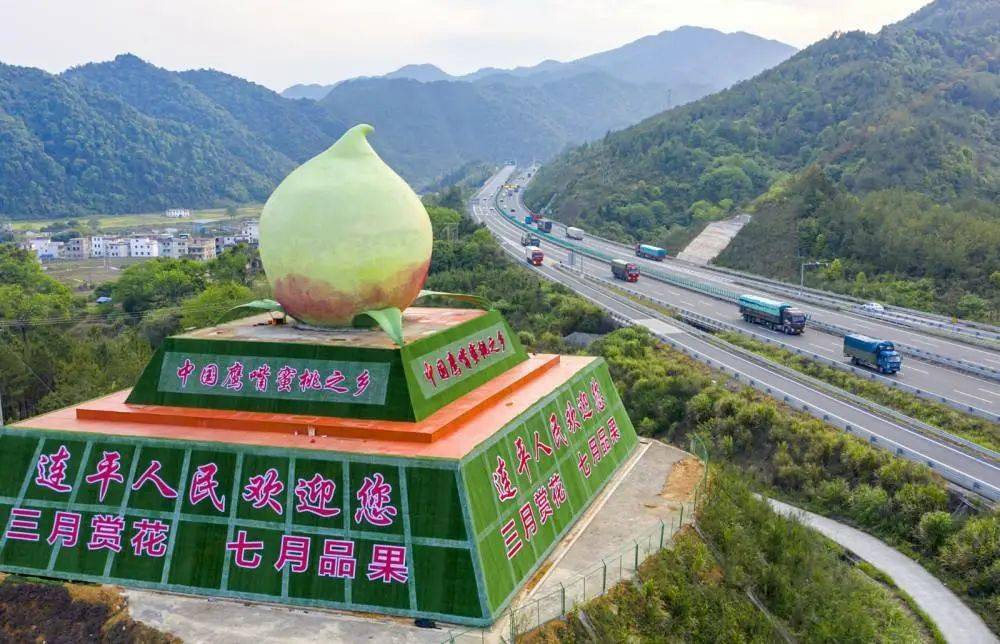 “桃”不了的诱惑<strong></p>
<p>桃币</strong>！连平的鹰嘴桃熟了！