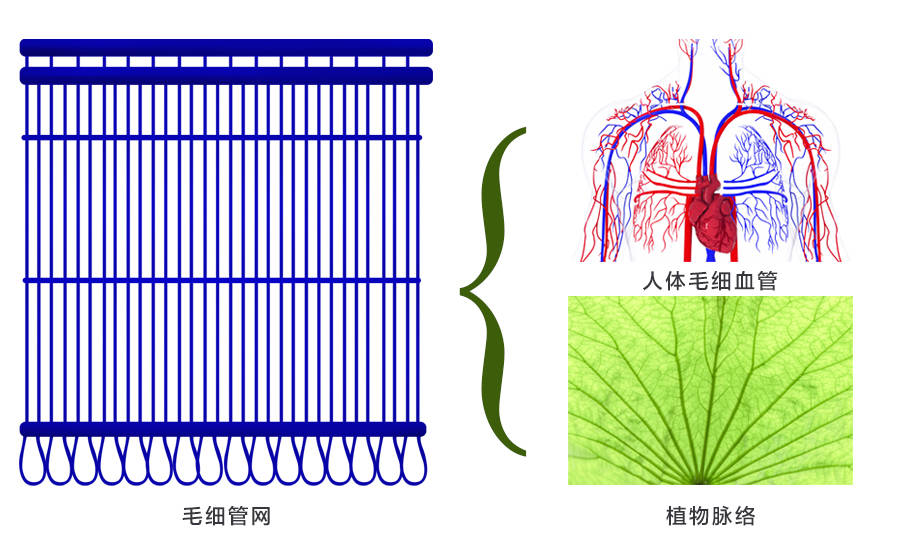 五恒/三恒系统是什么？五恒系统的发展<strong></p>
<p>恒币网</strong>！