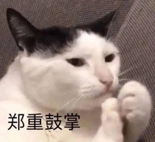 总战力一千万的巅峰对决<strong></p>
<p>一千万法币</strong>！