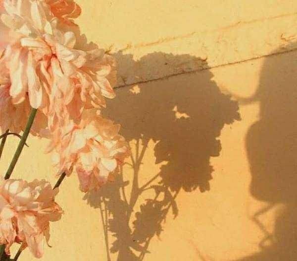 三观超正的恋爱观