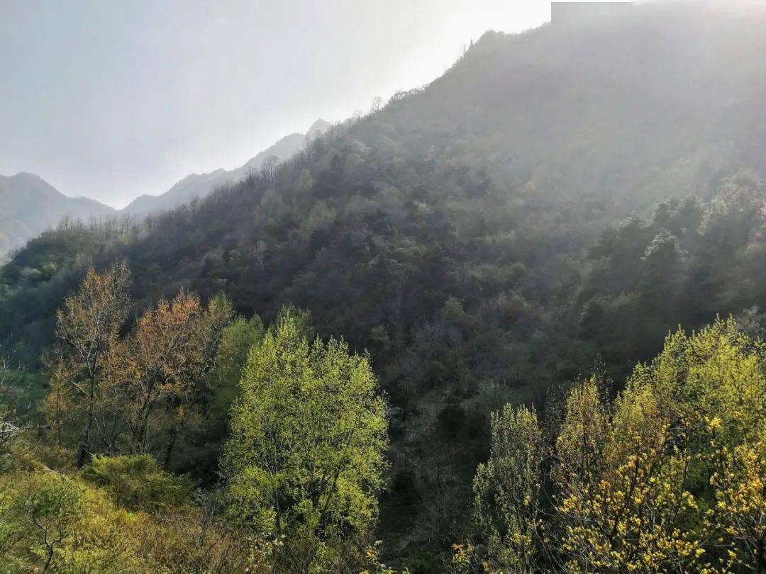 山居