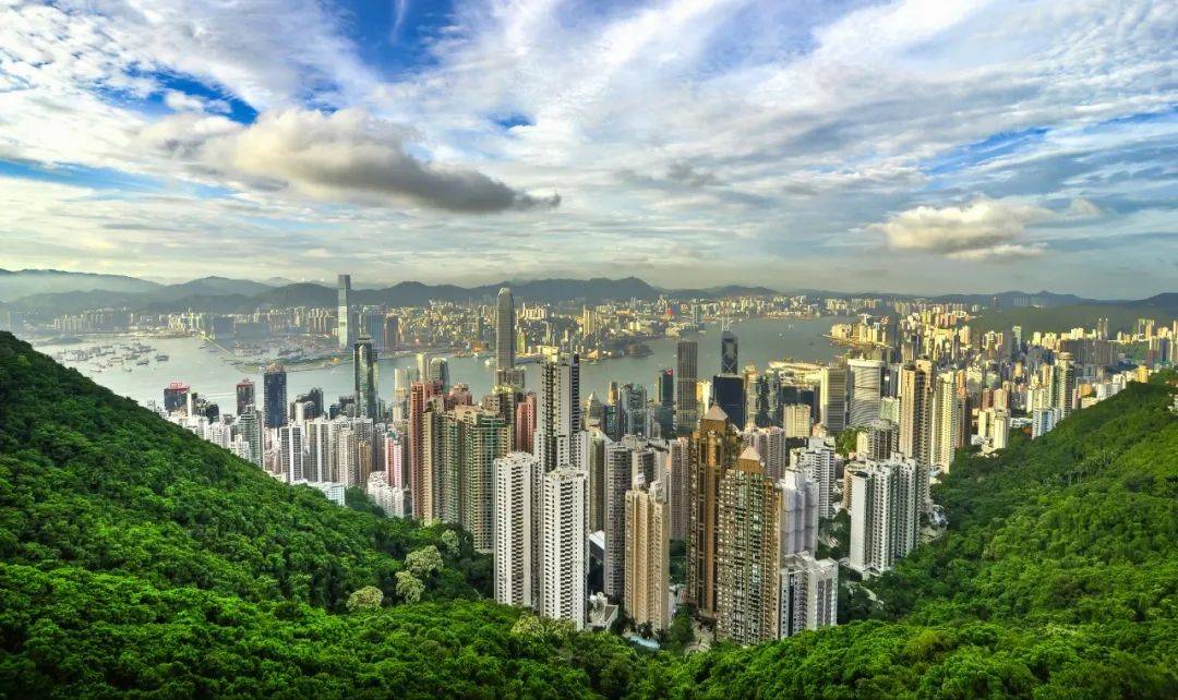 惠誉观察: 非银金融机构最新动态
