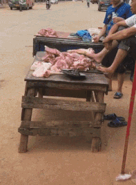 搞笑GIF：这应该是红烧猪蹄的最高境界<strong></p>
<p>炒币吧</strong>，应该是用地沟油炒的吧