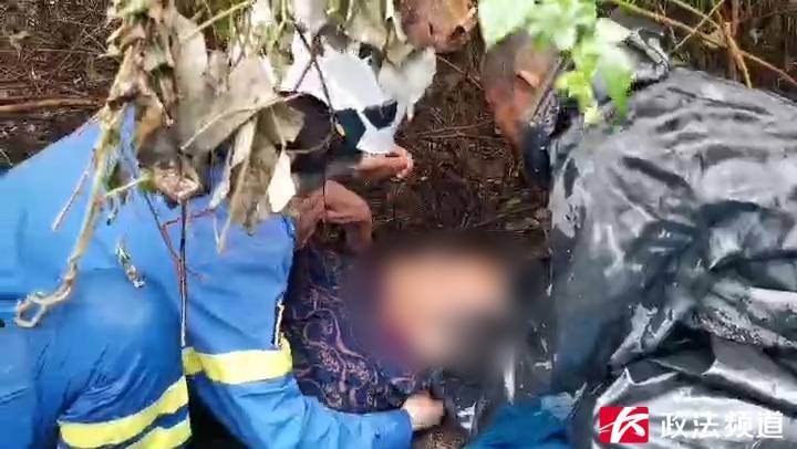 奇迹！湖南88岁老人上山砍柴走失<strong></p>
<p>bch币</strong>，5天后在草丛被找到时……