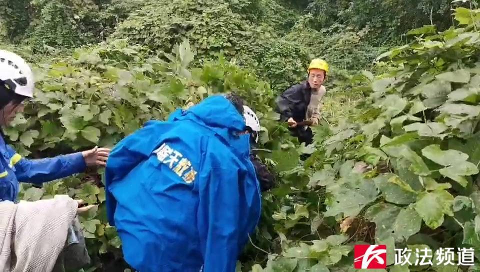奇迹！湖南88岁老人上山砍柴走失<strong></p>
<p>bch币</strong>，5天后在草丛被找到时……