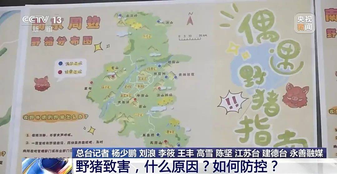 撞列车、闯店铺、狂飙伤人……野猪为何“泛滥成灾”<strong></p>
<p>bch币</strong>？