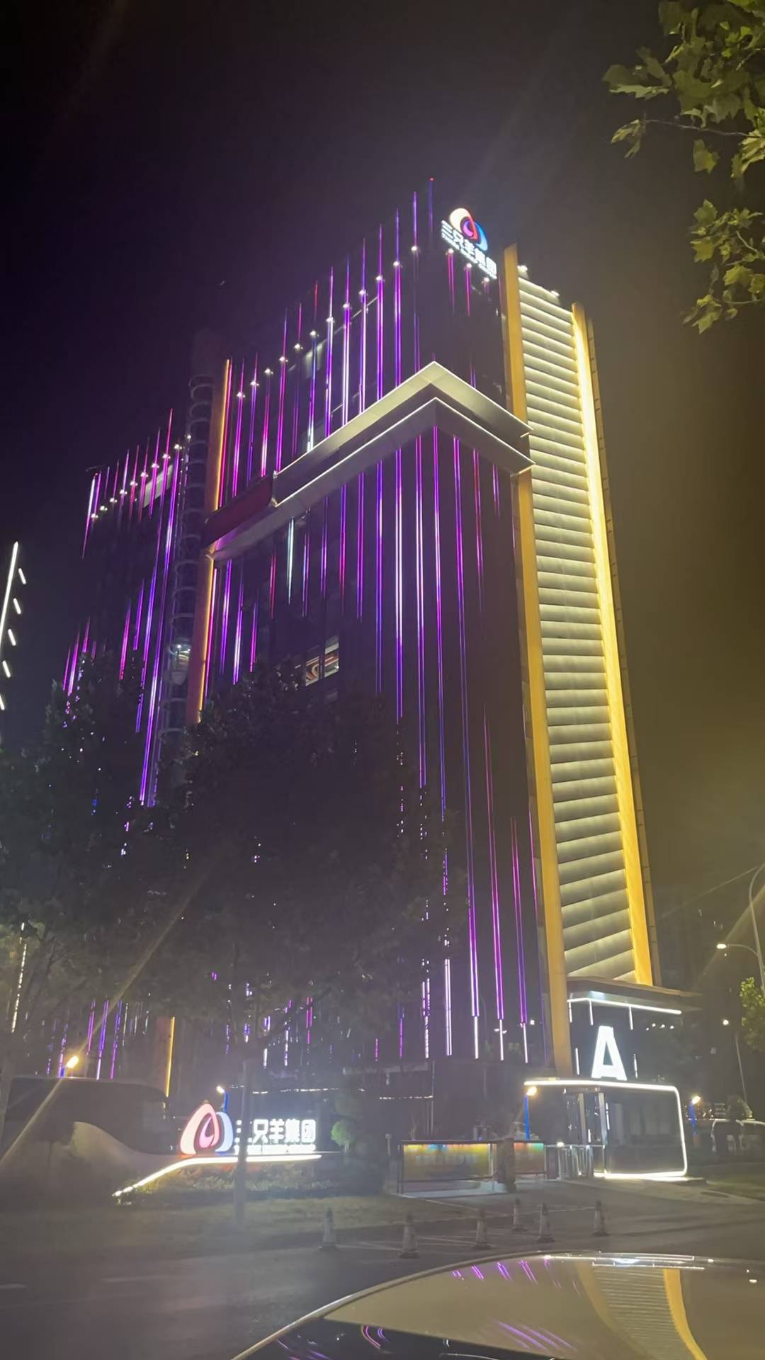 实探三只羊总部：深夜灯火通明<strong></p>
<p>币圈k线图基础知识</strong>，门口有主播靠直播园区日常涨粉数十万