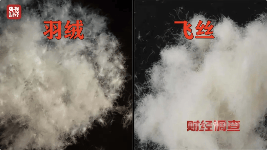 热搜第一<strong></p>
<p>零息债券全价交易</strong>！7万件羽绒服含绒量0%！央视曝光：羽绒被也是假的！当地最新通报→