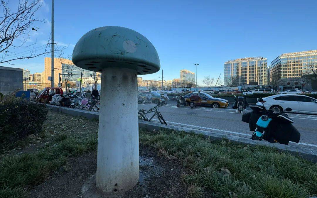 北京街头2米高神秘“蘑菇”<strong></p>
<p>同向交易和反向交易</strong>，你见过吗？网友大胆猜想……