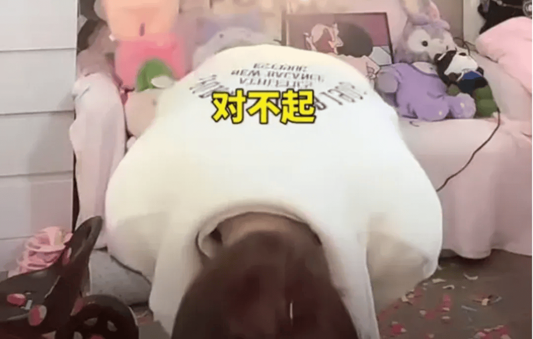吴柳芳再被罚<strong></p>
<p>自动计算软件app</strong>！粉丝数从600多万暴降到4万！