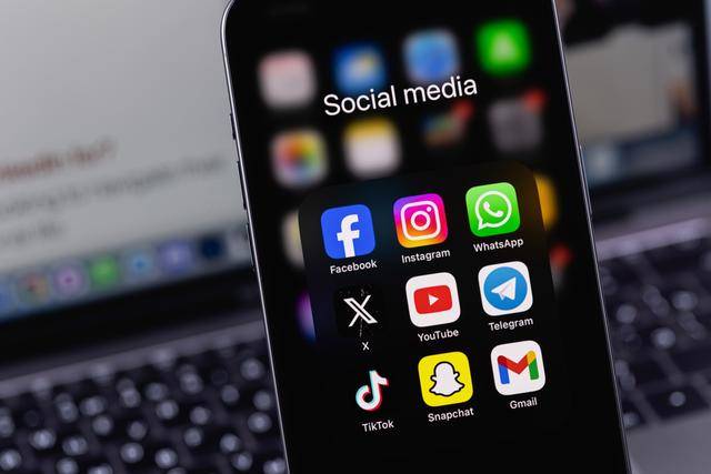 民进党为什么不敢全面封禁TikTok<strong></p>
<p>其他货币资金保证金</strong>？苏恒：不少台湾人靠它维持生计|飞越功德院