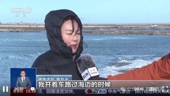 山东一地海面冻住大量梭鱼！有人称捡到几百斤<strong></p>
<p>truechain币行情</strong>，吃货们“成麻袋”往家扛