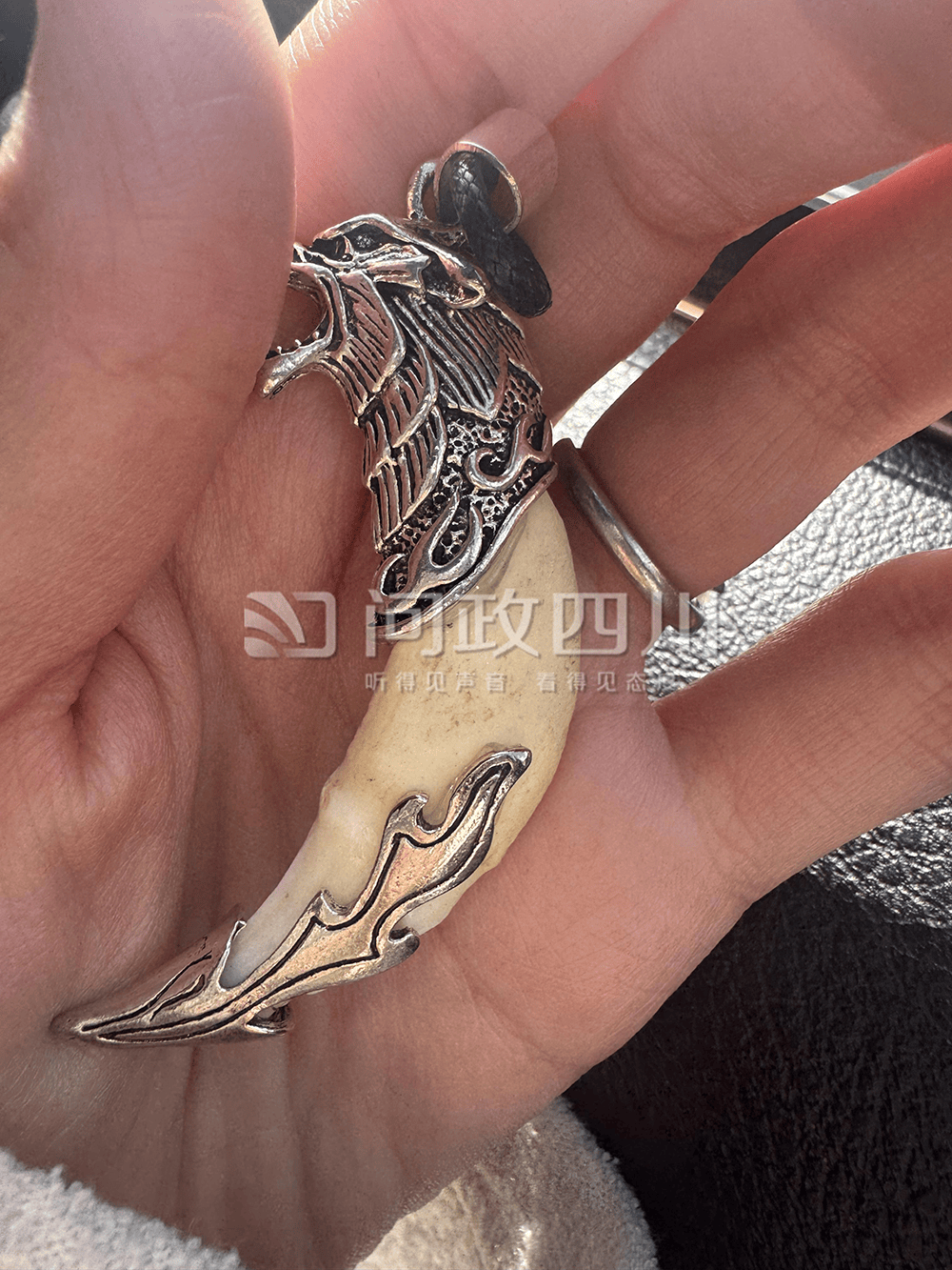 游客称购两颗狼牙实为狗牙<strong></p>
<p>债券买断式回购交易</strong>，律师：买卖真狼牙涉违法，卖假狼牙涉欺诈