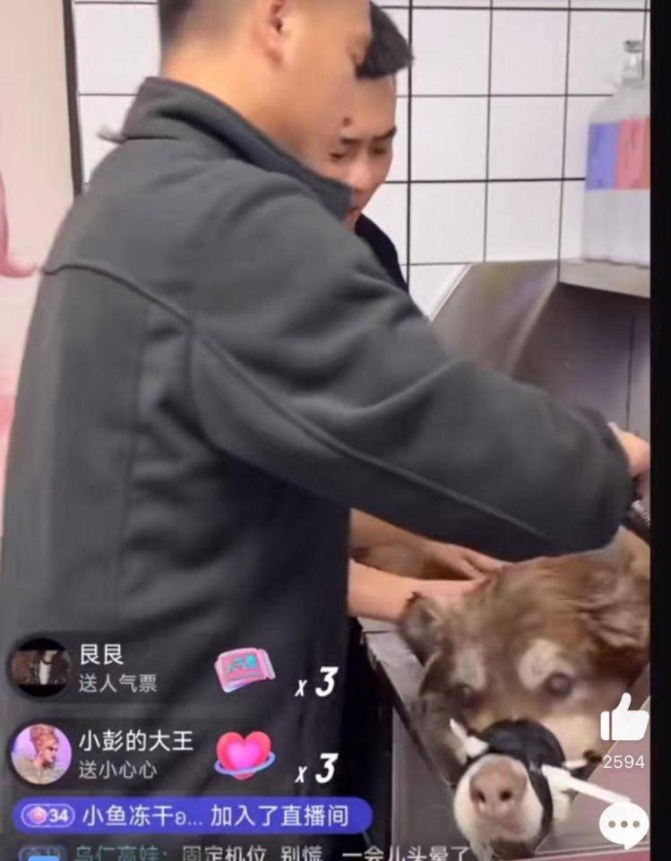 千万粉丝训犬师网红潘宏账号内容被一夜清空<strong></p>
<p>bch币</strong>，园区所在地官方：正调查
