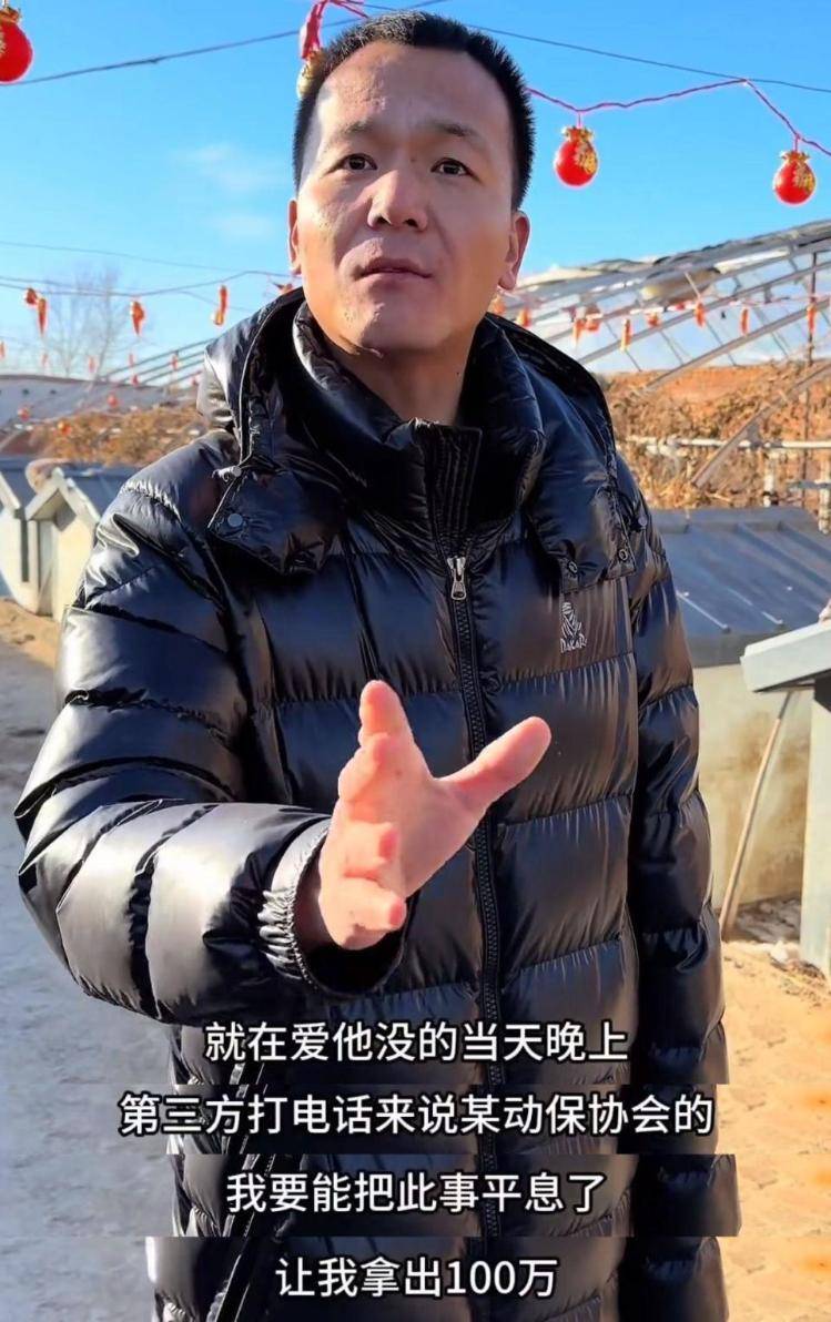 千万粉丝训犬师网红潘宏账号内容被一夜清空<strong></p>
<p>bch币</strong>，园区所在地官方：正调查