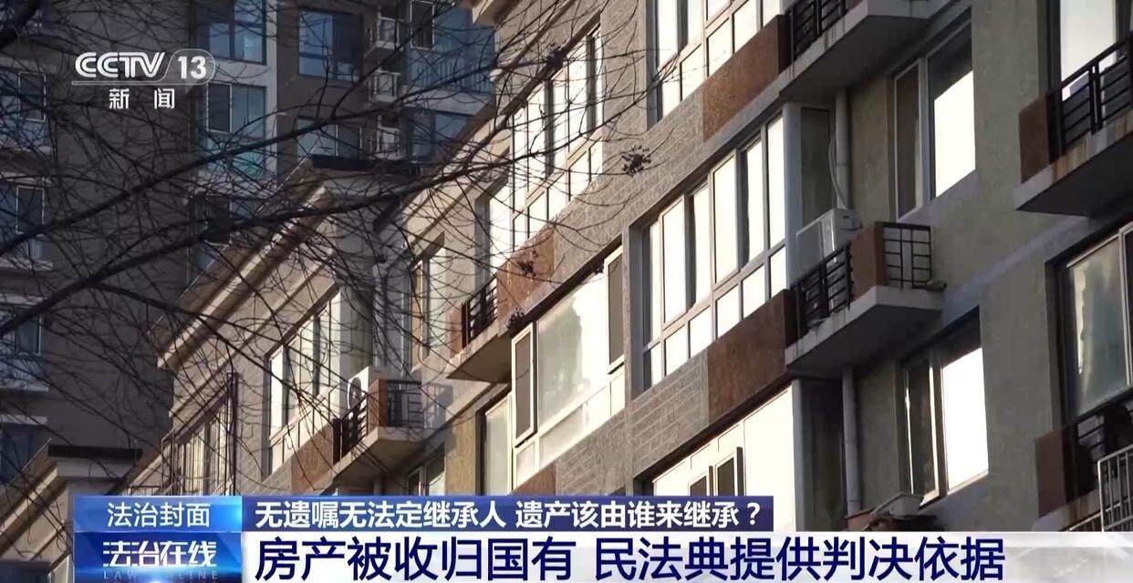 独身女子病逝后叔姑舅姨9人争遗产<strong></p>
<p>bch币</strong>，房产为何收归国家？案例释法→