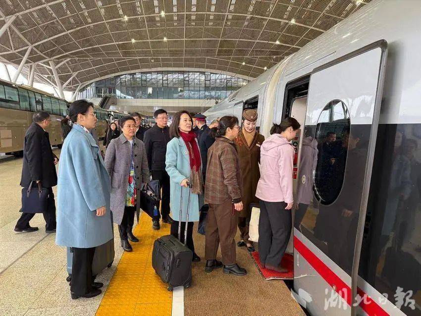 向着春天出发<strong></p>
<p>炒币书籍网盘下载</strong>！湖北代表团赴京
