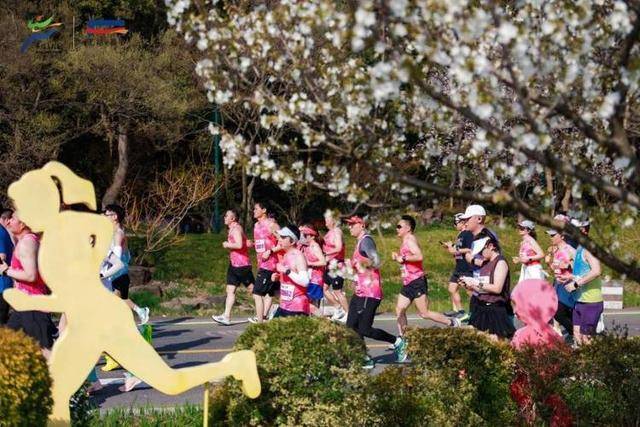 陪跑一场6000元<strong></p>
<p>新上线的币如何炒</strong>，马拉松赛场上奔跑的“私兔”什么来头