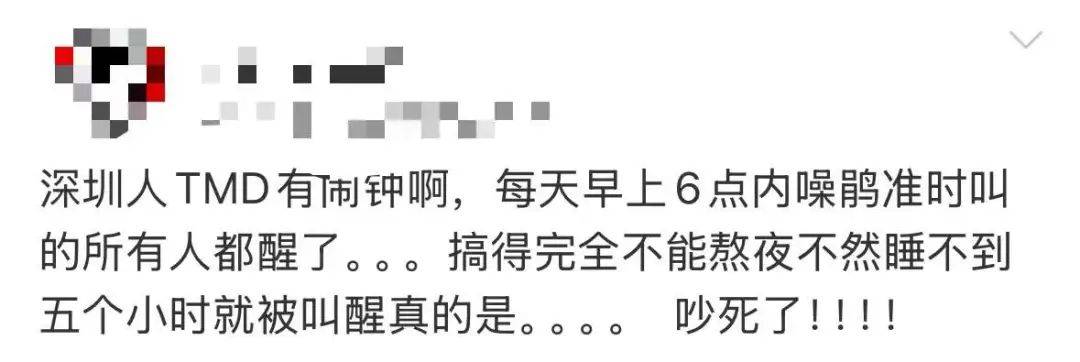 “周末想睡个懒觉都不行”<strong></p>
<p>如何利用行业消息去炒币</strong>，有多少深圳人被这种鸟吵到神经衰弱