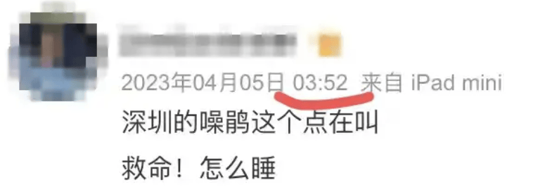 “周末想睡个懒觉都不行”<strong></p>
<p>如何利用行业消息去炒币</strong>，有多少深圳人被这种鸟吵到神经衰弱
