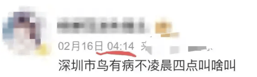 “周末想睡个懒觉都不行”<strong></p>
<p>如何利用行业消息去炒币</strong>，有多少深圳人被这种鸟吵到神经衰弱