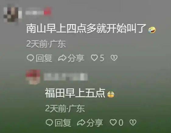 “周末想睡个懒觉都不行”<strong></p>
<p>如何利用行业消息去炒币</strong>，有多少深圳人被这种鸟吵到神经衰弱