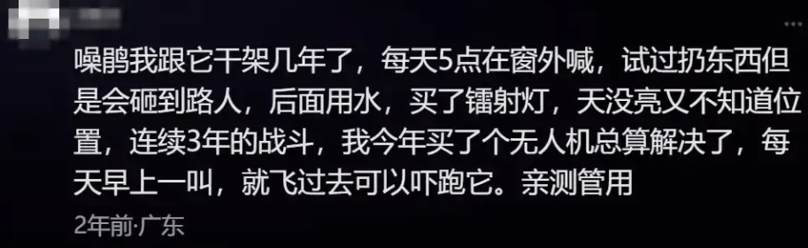 “周末想睡个懒觉都不行”<strong></p>
<p>如何利用行业消息去炒币</strong>，有多少深圳人被这种鸟吵到神经衰弱