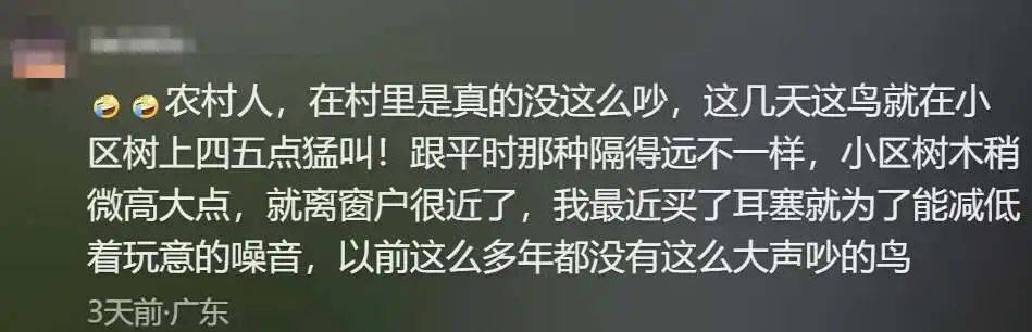 “周末想睡个懒觉都不行”<strong></p>
<p>如何利用行业消息去炒币</strong>，有多少深圳人被这种鸟吵到神经衰弱