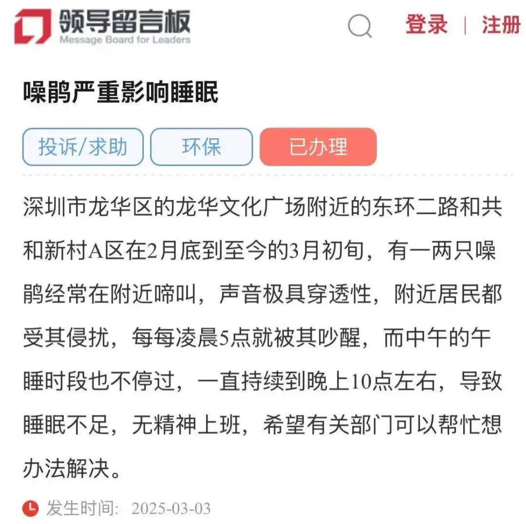 “周末想睡个懒觉都不行”<strong></p>
<p>如何利用行业消息去炒币</strong>，有多少深圳人被这种鸟吵到神经衰弱