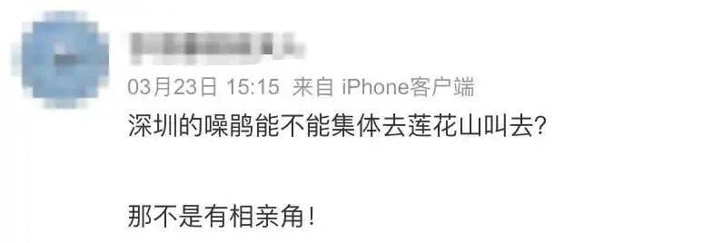“周末想睡个懒觉都不行”<strong></p>
<p>如何利用行业消息去炒币</strong>，有多少深圳人被这种鸟吵到神经衰弱