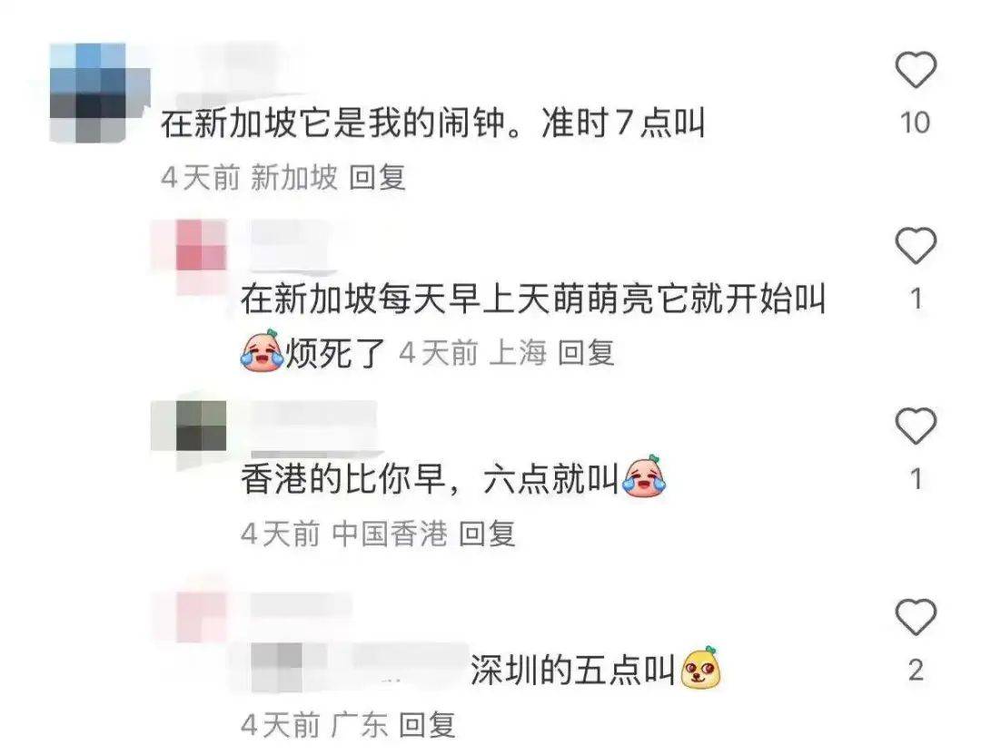 “周末想睡个懒觉都不行”<strong></p>
<p>如何利用行业消息去炒币</strong>，有多少深圳人被这种鸟吵到神经衰弱