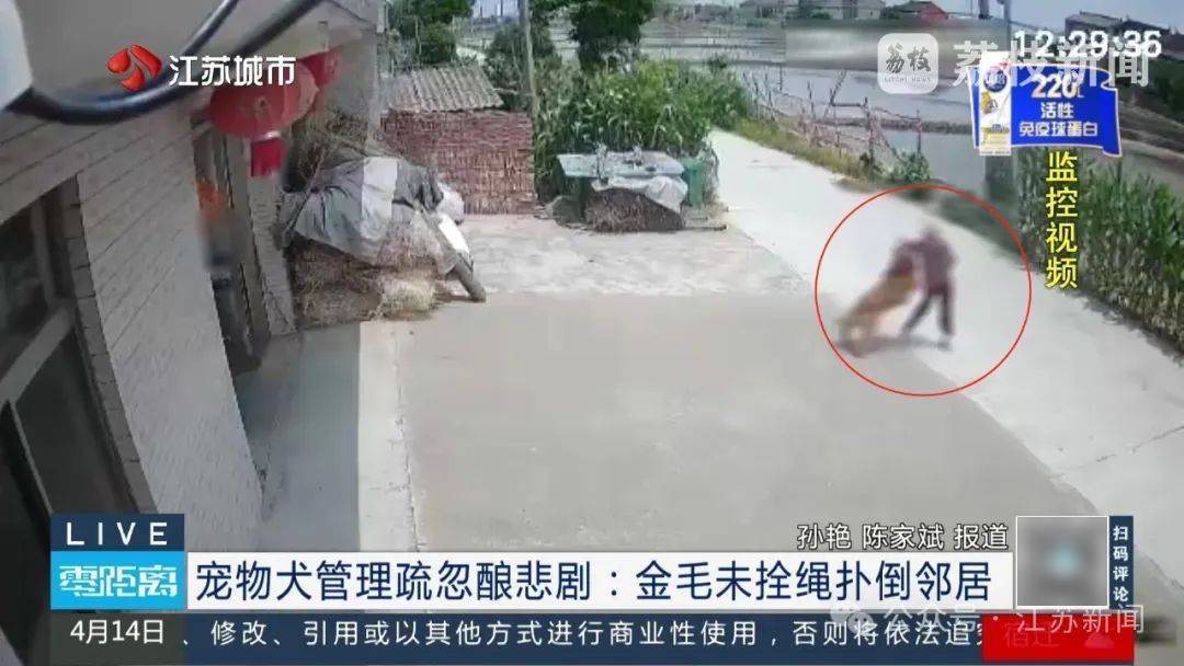 八旬老人被金毛扑倒致死<strong></p>
<p>炒币如何看盘</strong>，邻居不愿赔10万，法院：赔40万！