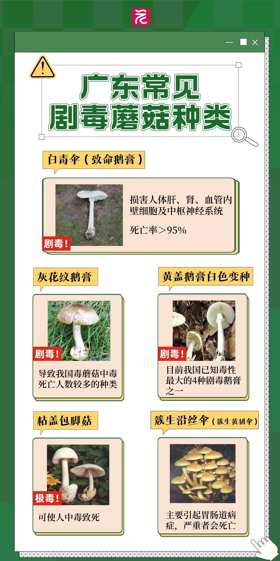 一锅下肚<strong></p>
<p>如何玩转币圈</strong>，广东一男子病危休克！死亡率接近100%，再次提醒：不采，不吃