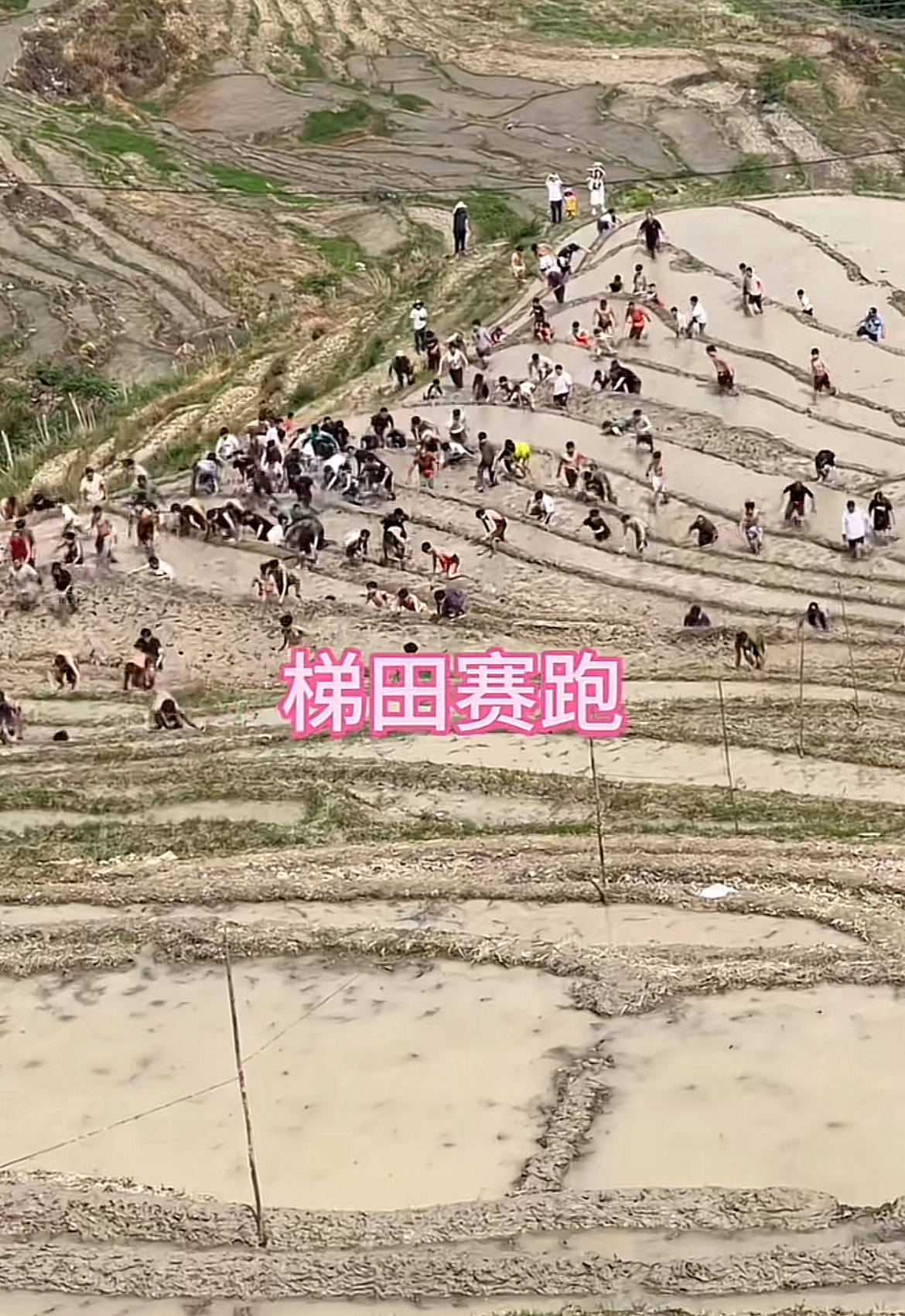 桂林一景区回应爬梯田比赛前两名半坡起跑作弊：游客赛前试爬后躺半坡<strong></p>
<p>怎么购买洪币</strong>，工作人员没发现