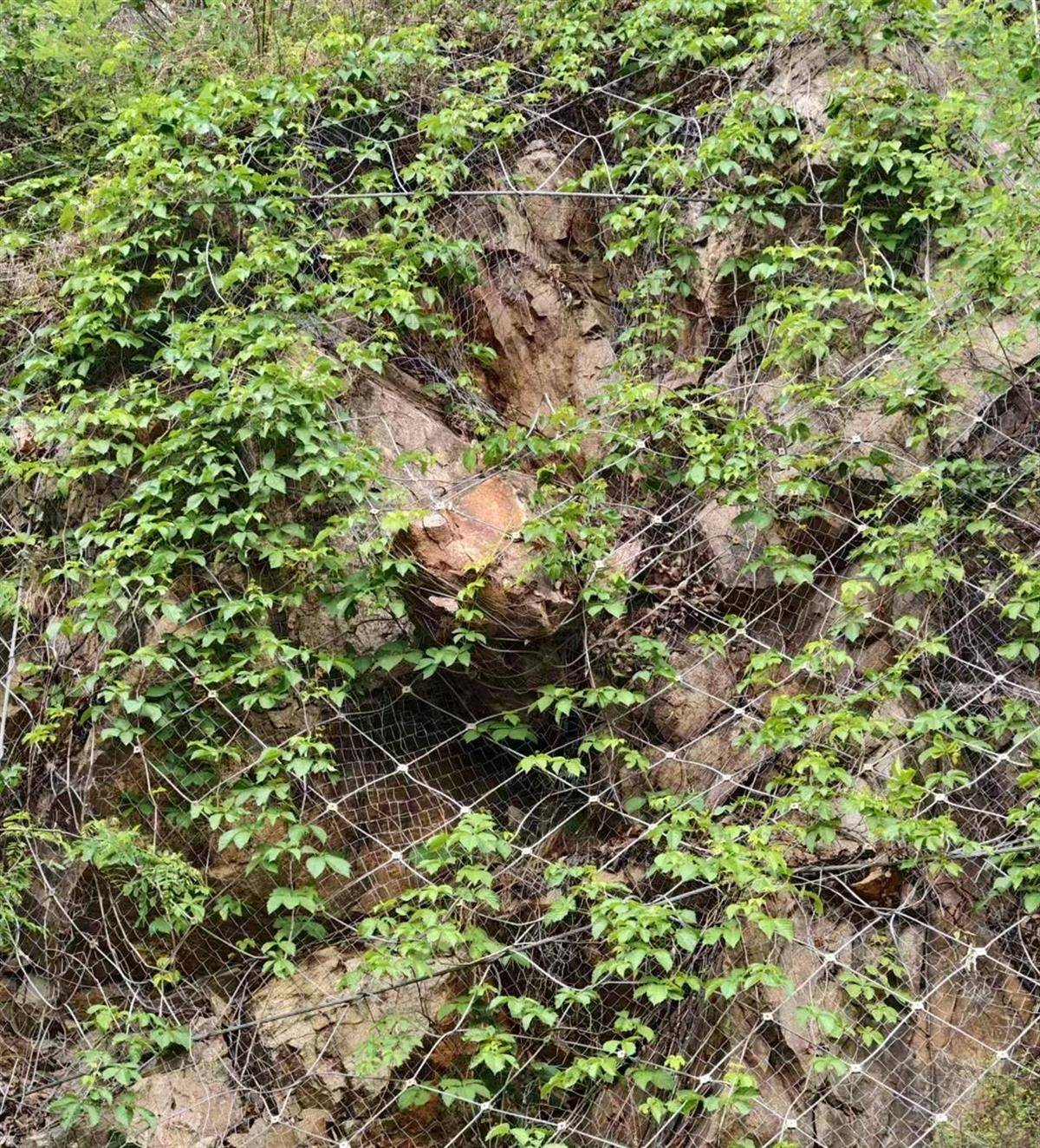洛阳一家四口返家途中私家车被山体落石砸中<strong></p>
<p>股票k线图</strong>，36岁父亲当场遇难，当地政府已成立工作专班