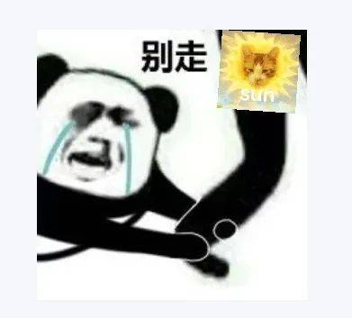 晴天不想续费<strong></p>
<p>股票k线图</strong>，时有阵雨来扰，本周中后期局地雷雨将增多