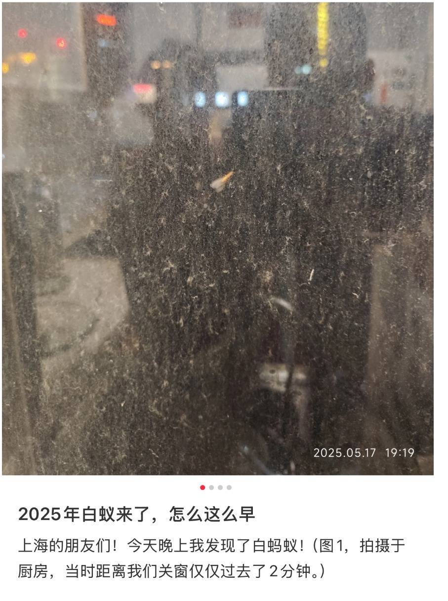 紧急提醒：瞬间爆发！上海市民崩溃：密密麻麻<strong></p>
<p>怎么买币</strong>，蠕蠕爬行...“梧桐区”已开始战斗，白蚁或提前分飞