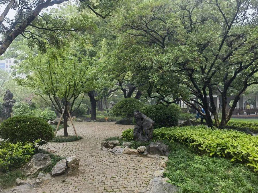 紧急提醒：瞬间爆发！上海市民崩溃：密密麻麻<strong></p>
<p>怎么买币</strong>，蠕蠕爬行...“梧桐区”已开始战斗，白蚁或提前分飞