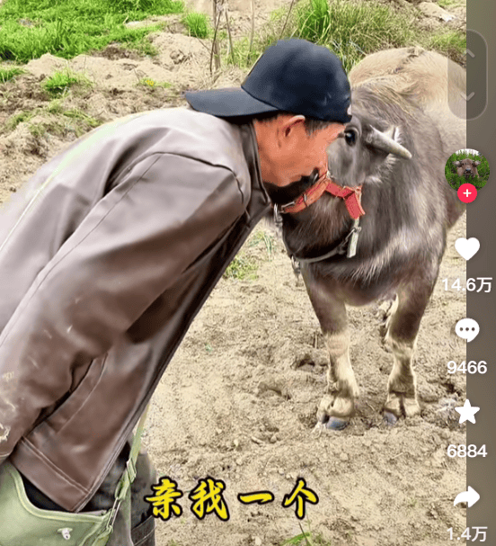 “最美通缉犯”出狱后开直播<strong></p>
<p>币多网怎么交易</strong>，坐过牢都成网红新赛道了