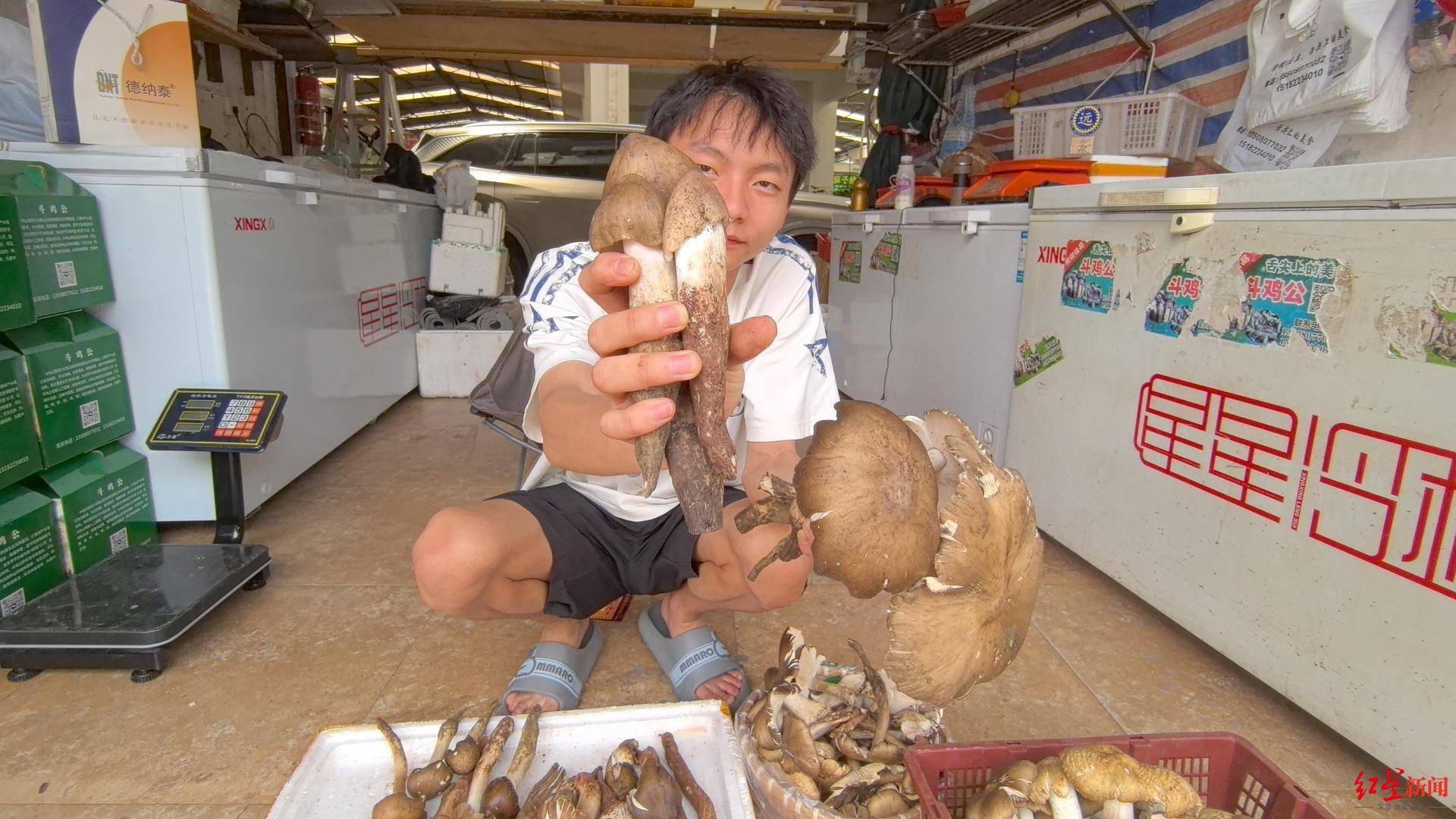 “天价”鸡枞调查：最贵卖到1800元/公斤！雨水少致产量低<strong></p>
<p>y币怎么刷</strong>，多地价高客少